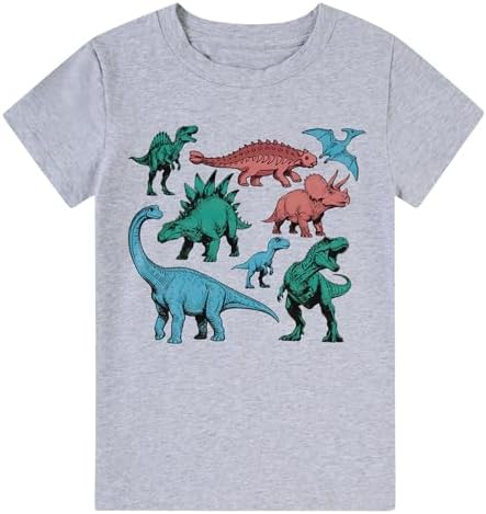 Grey boys t-shirt featuring colorful dinosaur graphic print