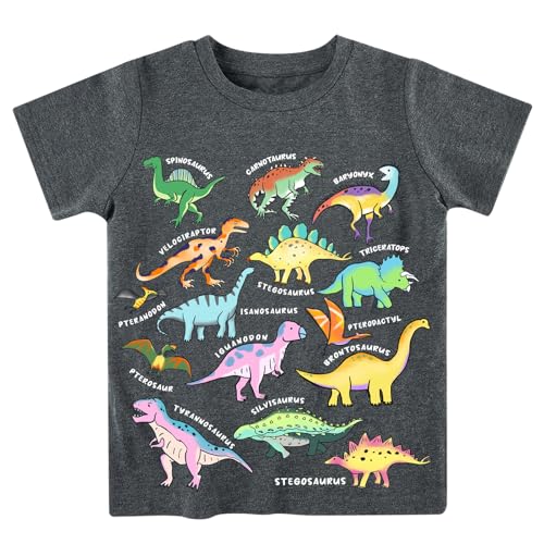 Boys dinosaur graphic T shirt with colorful dinosaur prints, soft cotton fabric and short sleeve design for casual everyday wear.