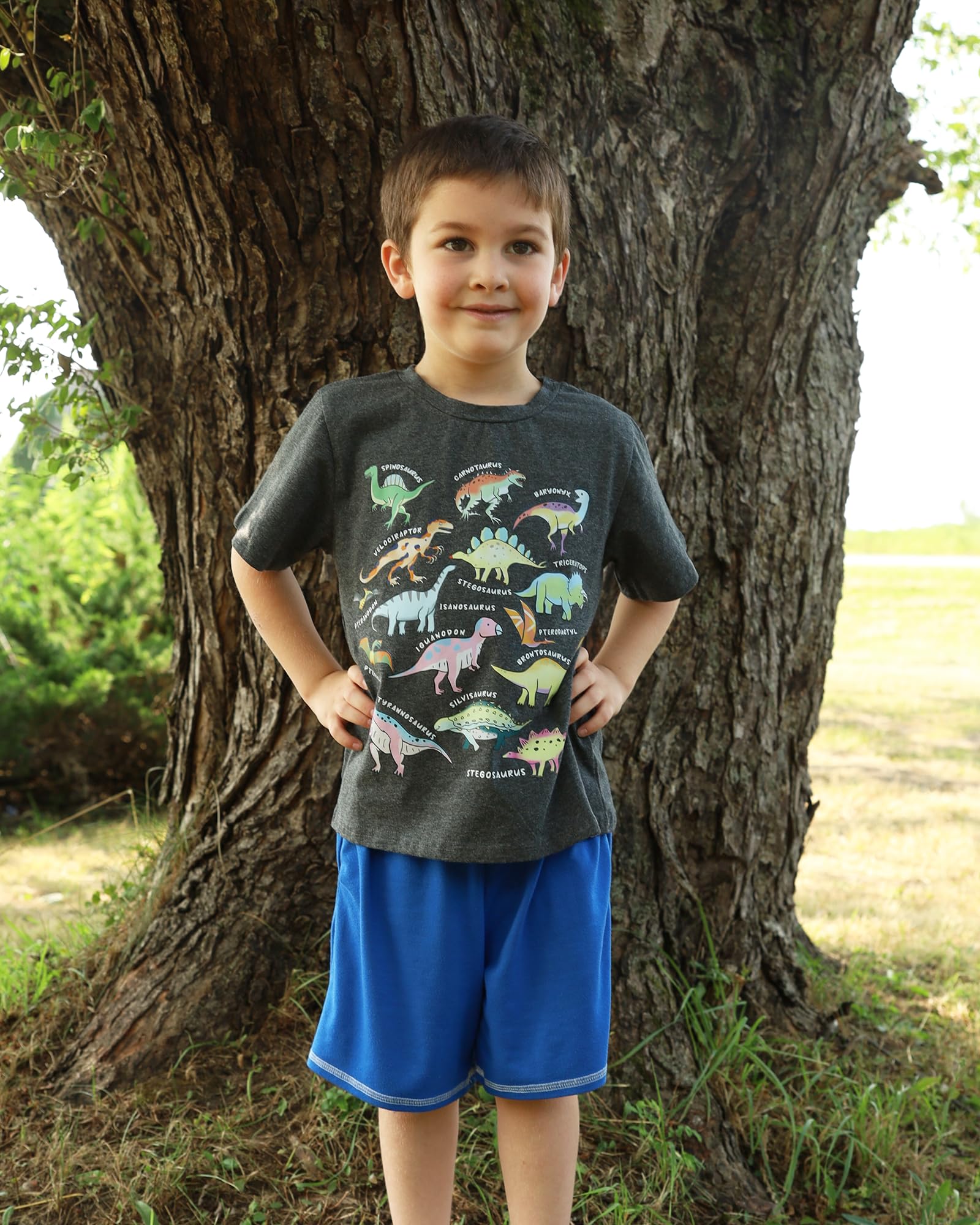 Boy wearing a dinosaur graphic tee with blue shorts, posing outdoors and showing a fun casual outfit for daily wear.